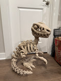 Velociraptor Dino